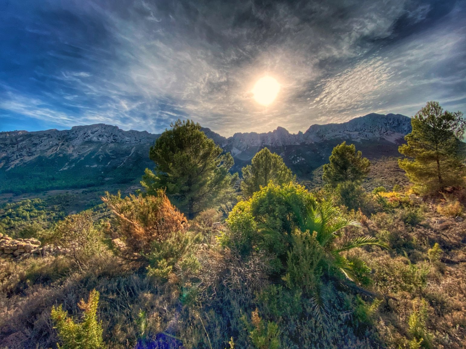 Parcela en Jalon, Alicante, España No. 87415