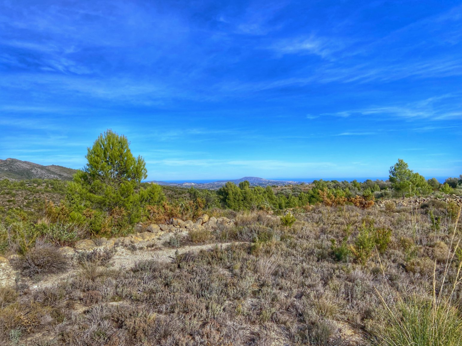 Parcela en Jalon, Alicante, España No. 87415