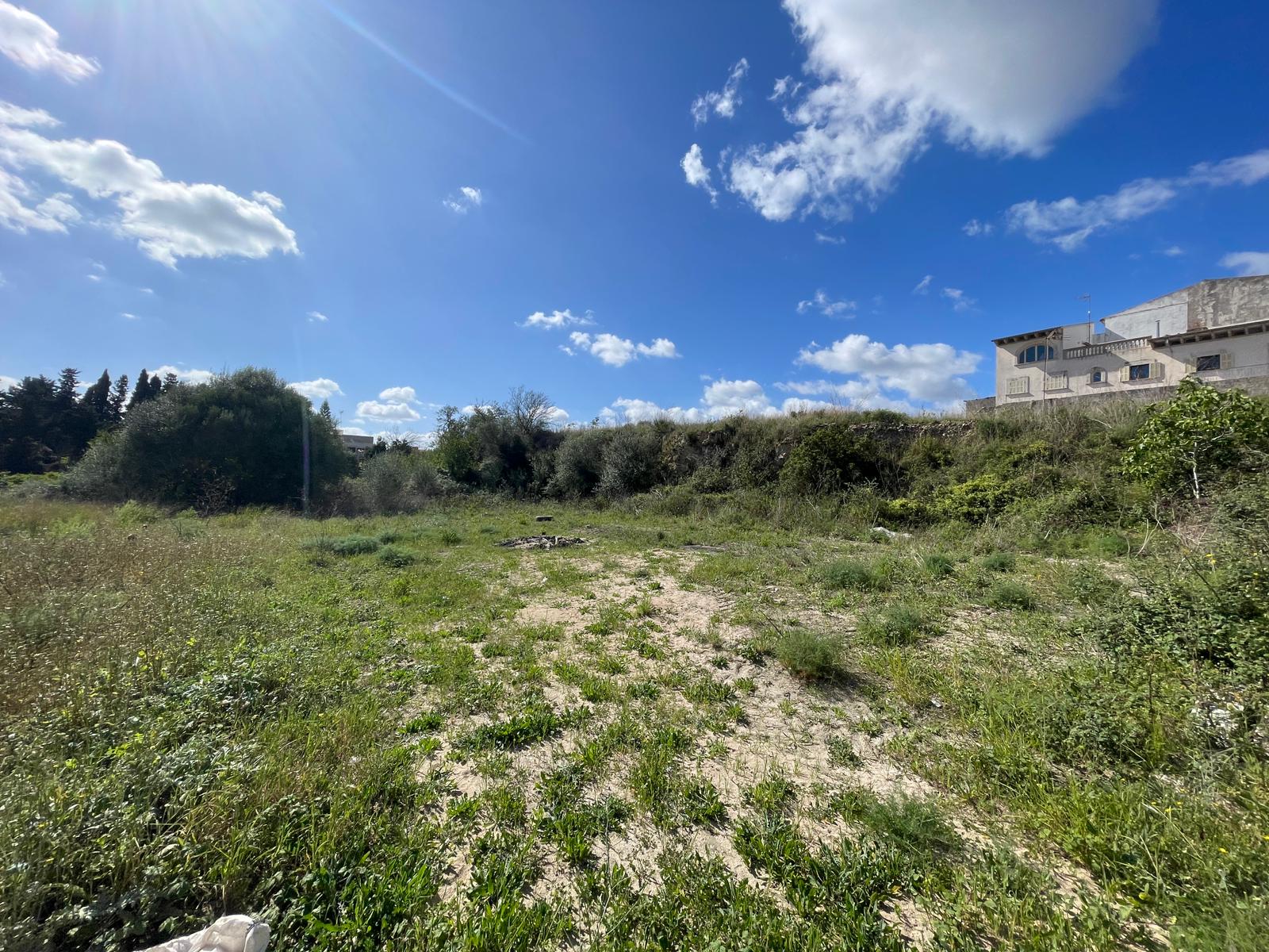 Zemes gabals Santa Margalida, Mallorca, Spānijā 485 m2 Nr. 98061