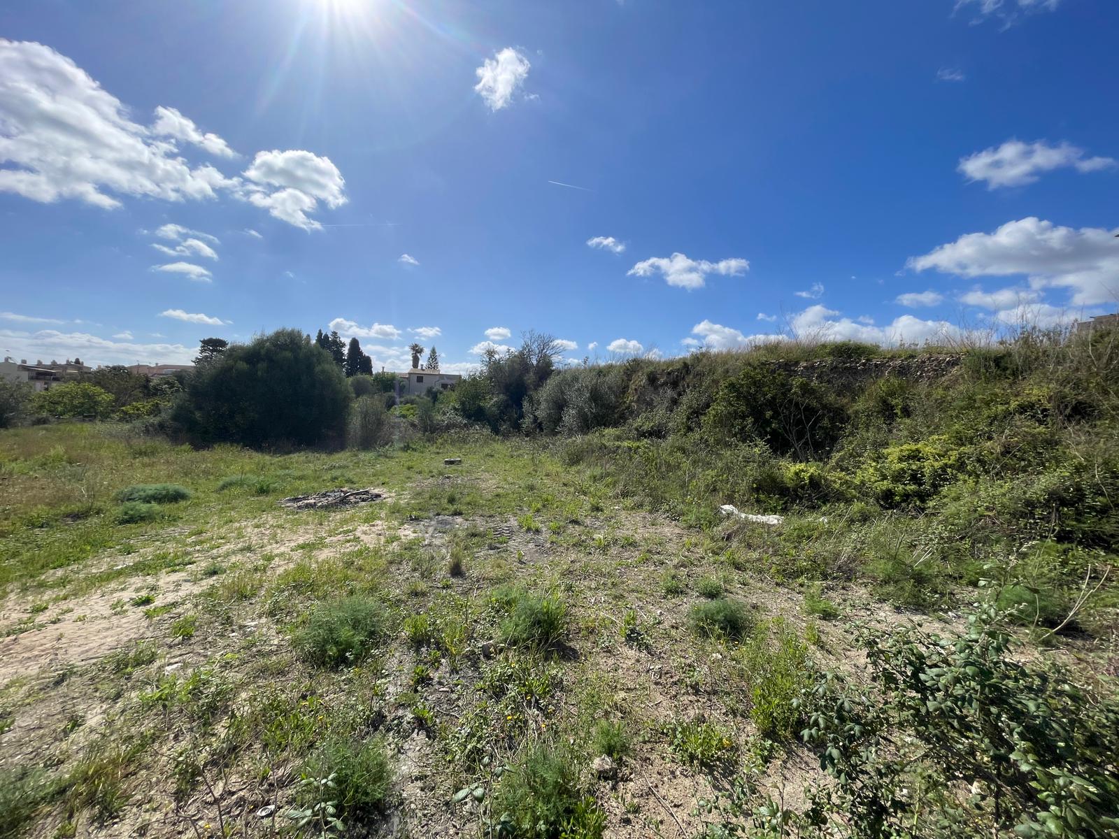 Zemes gabals Santa Margalida, Mallorca, Spānijā 485 m2 Nr. 98061