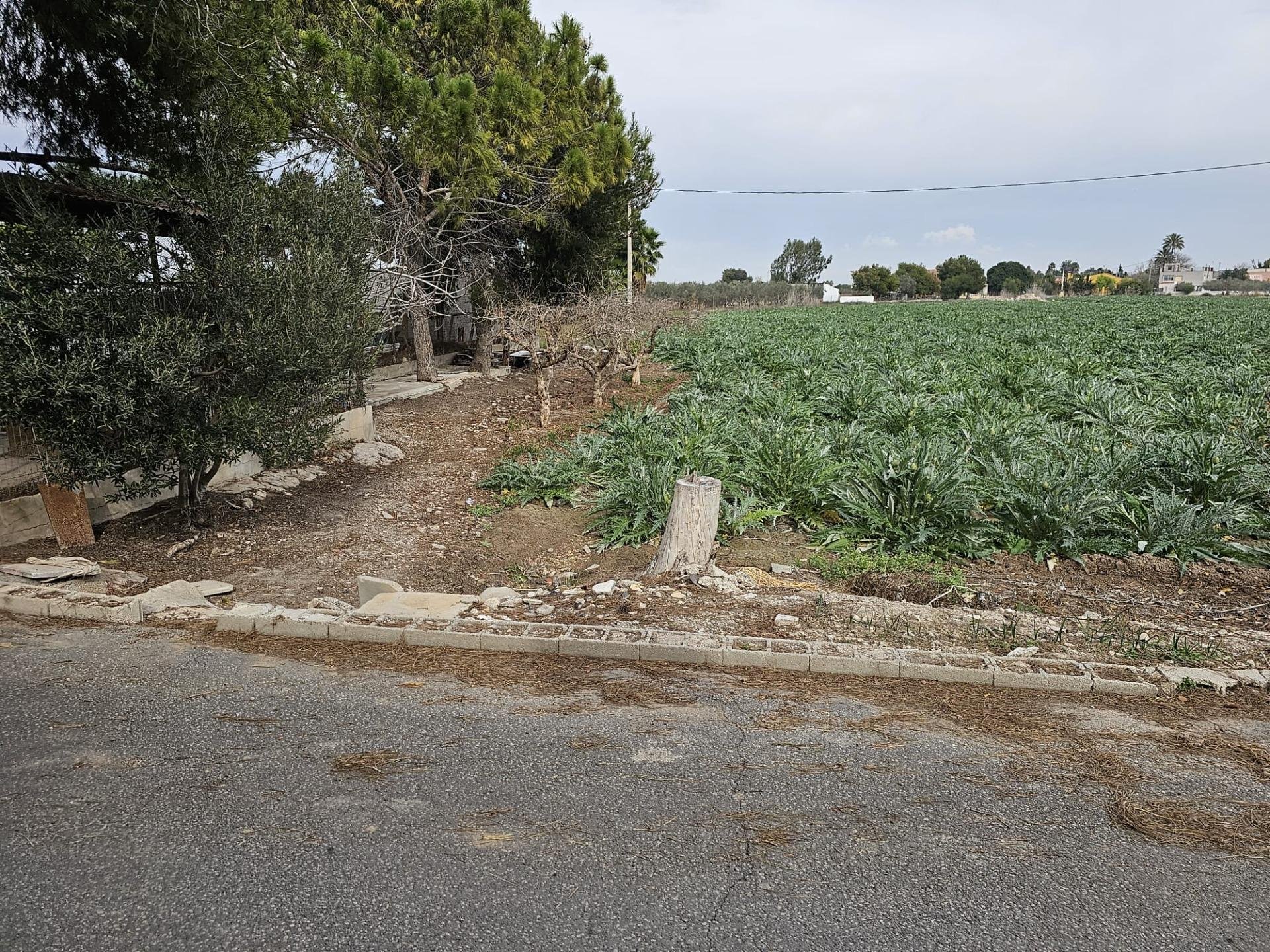 Сasa en Dolores, Alicante, España 4 dormitorios, 180 m2 No. 91643