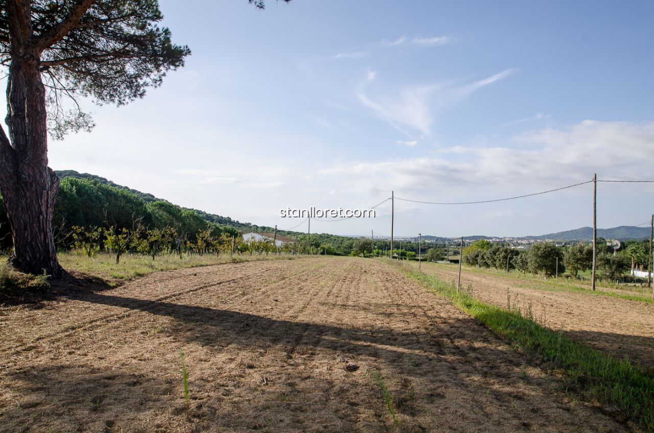 Сasa en Blanes, Gerona, España 7 dormitorios, 400 m2 No. 104062