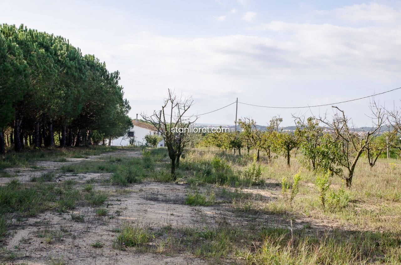 Сasa en Blanes, Gerona, España 7 dormitorios, 400 m2 No. 104062