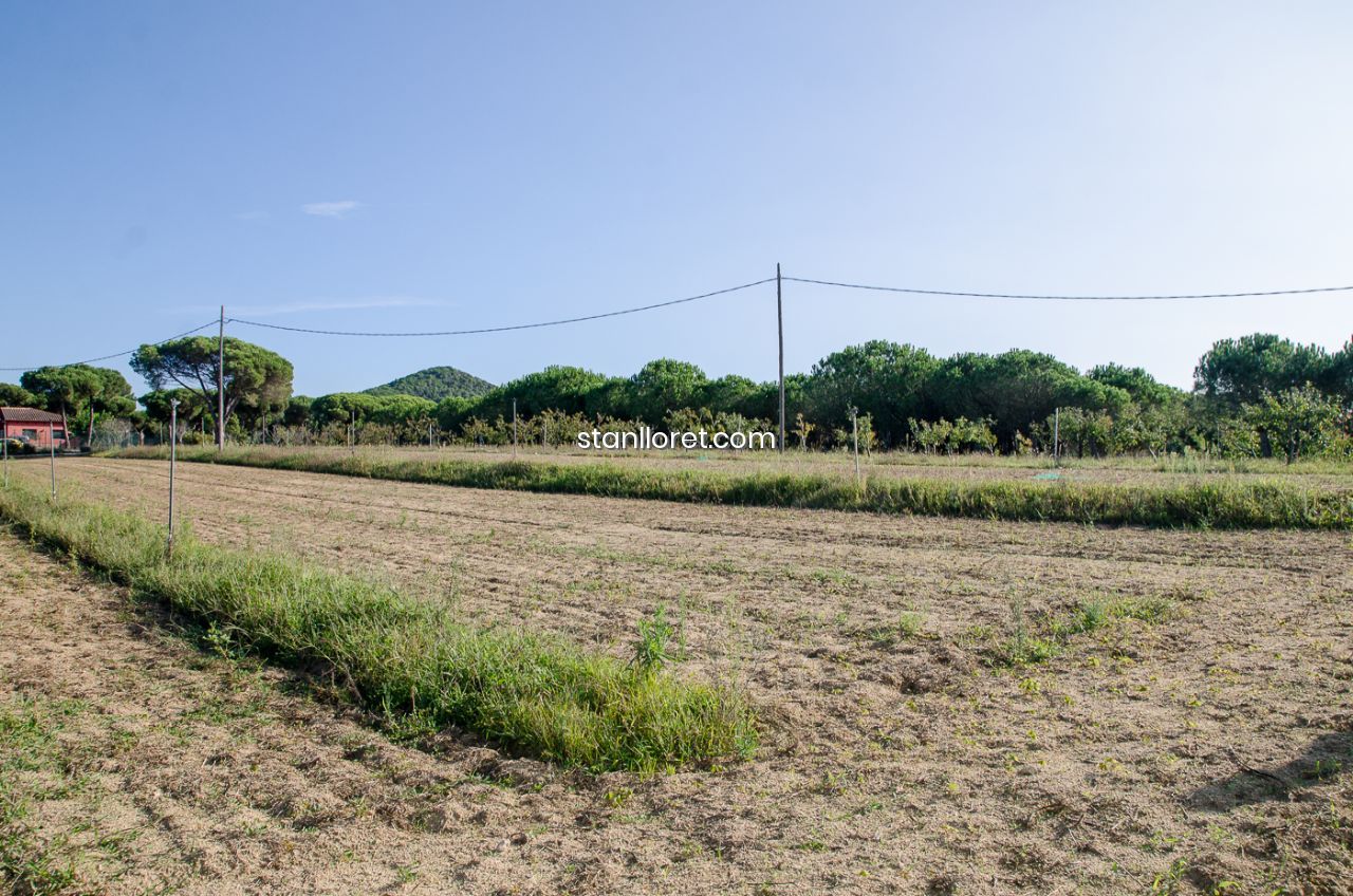 Сasa en Blanes, Gerona, España 7 dormitorios, 400 m2 No. 104062