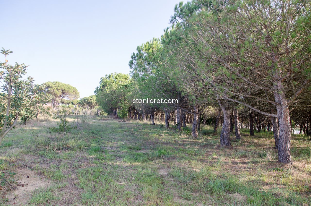 Сasa en Blanes, Gerona, España 7 dormitorios, 400 m2 No. 104062