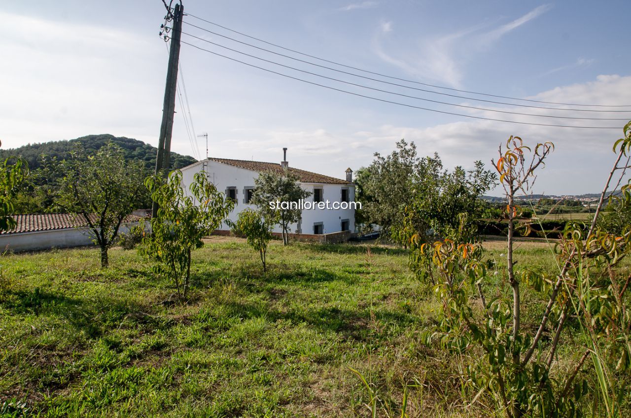 Сasa en Blanes, Gerona, España 7 dormitorios, 400 m2 No. 104062