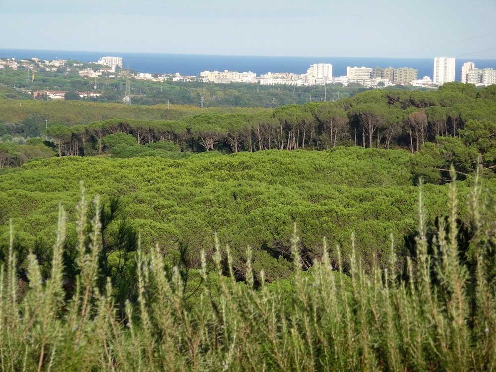 Māja S'Agaro, Girona, Spānijā 5 istabas, 750 m2 Nr. 22462