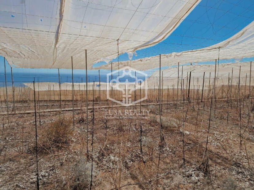 Land plot à Guia de Isora, Tenerife, Espagne No. 111119