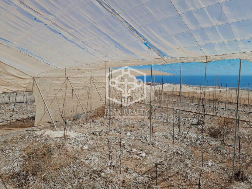 Land plot à Guia de Isora, Tenerife, Espagne No. 111119