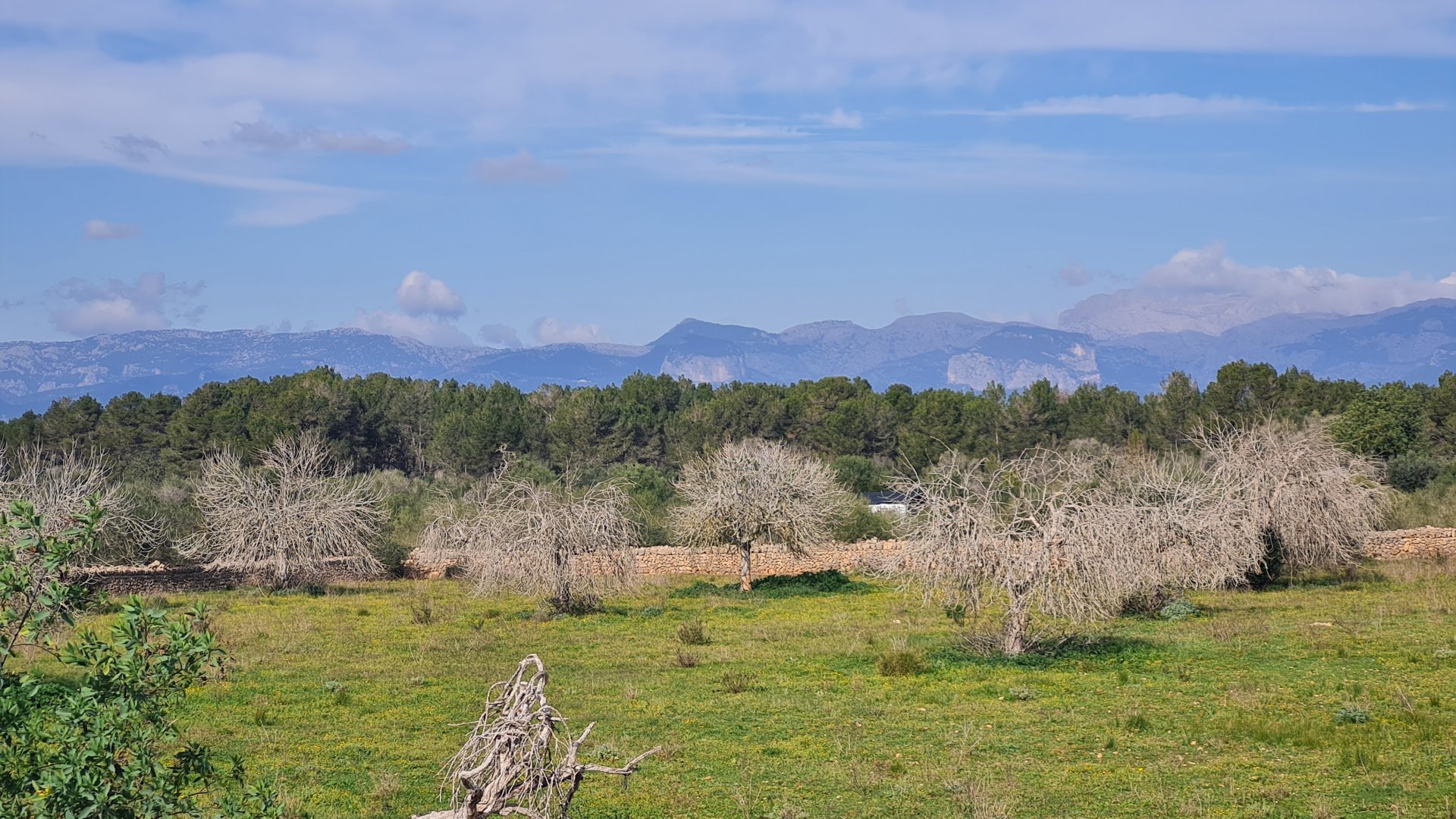Finca a Algaida, Mallorca, Spagna 3 camere da letto, 313 mq. N° 112000