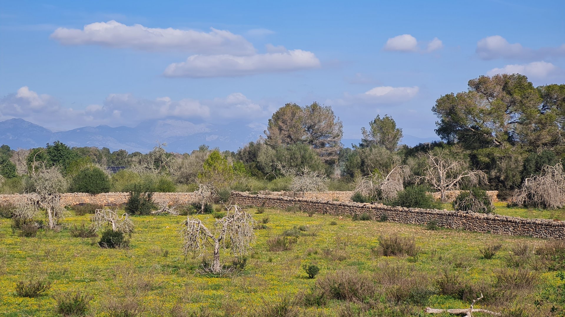 Finca a Algaida, Mallorca, Spagna 3 camere da letto, 313 mq. N° 112000