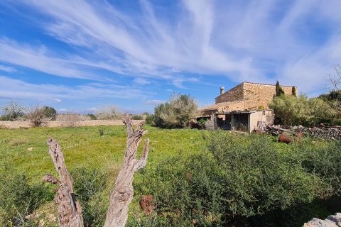 Finca Algaida, Mallorca, Espanja 3 makuuhuonetta, 313 m2 No. 112000
