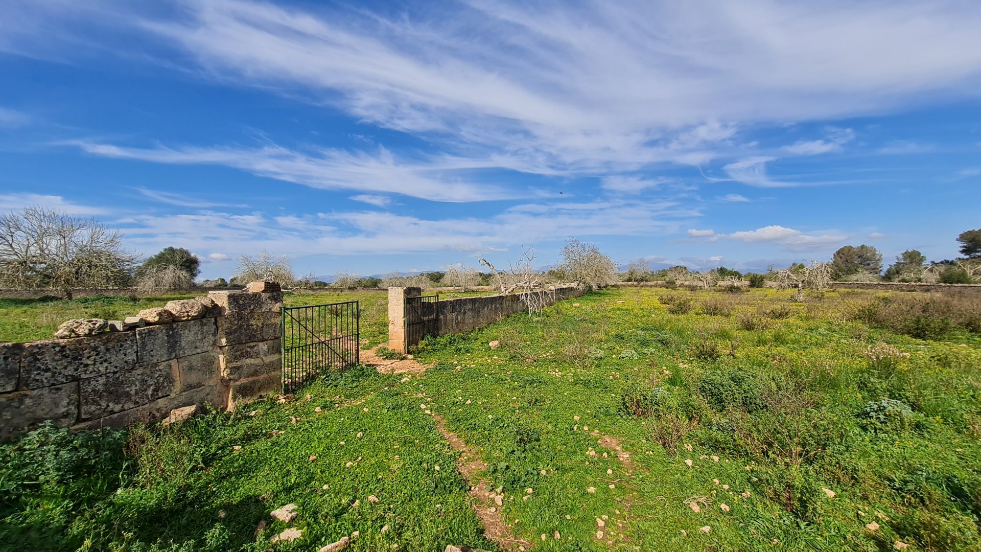 Finca a Algaida, Mallorca, Spagna 3 camere da letto, 313 mq. N° 112000
