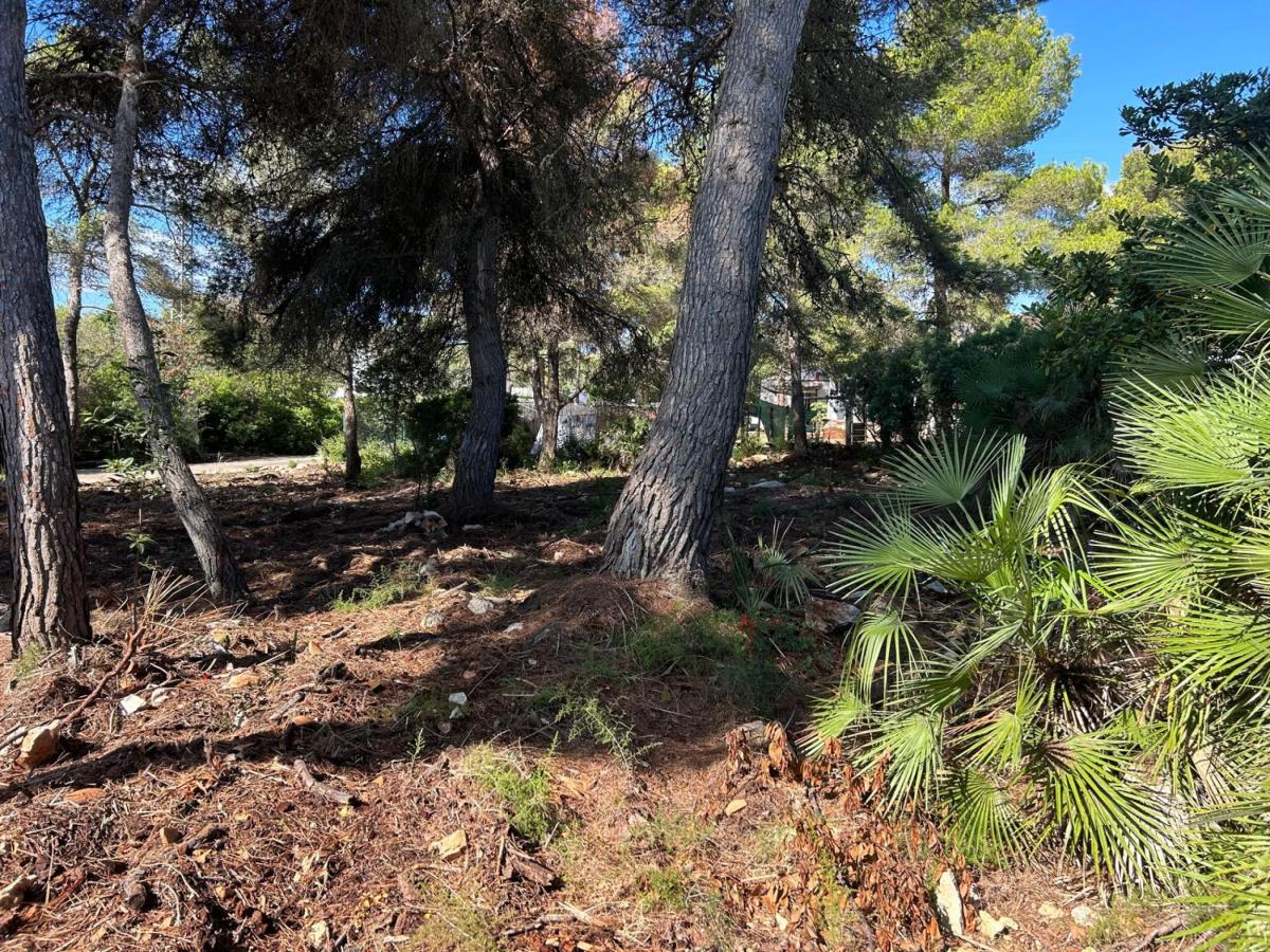 Villa à Javea, Alicante, Espagne 4 chambres, 200 m2 No. 102354