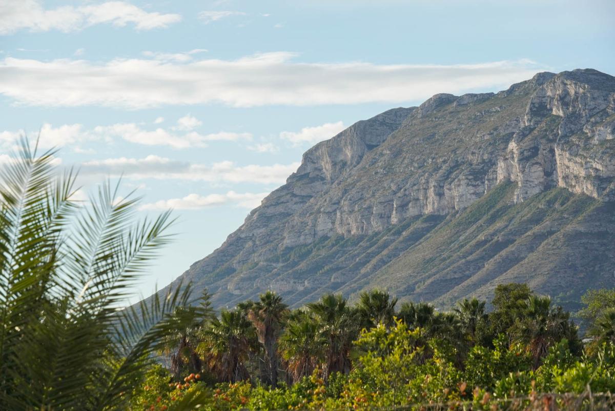 Apartament w Denia, Alicante, Hiszpania 2 sypialnie, 90 mkw. nr 100144
