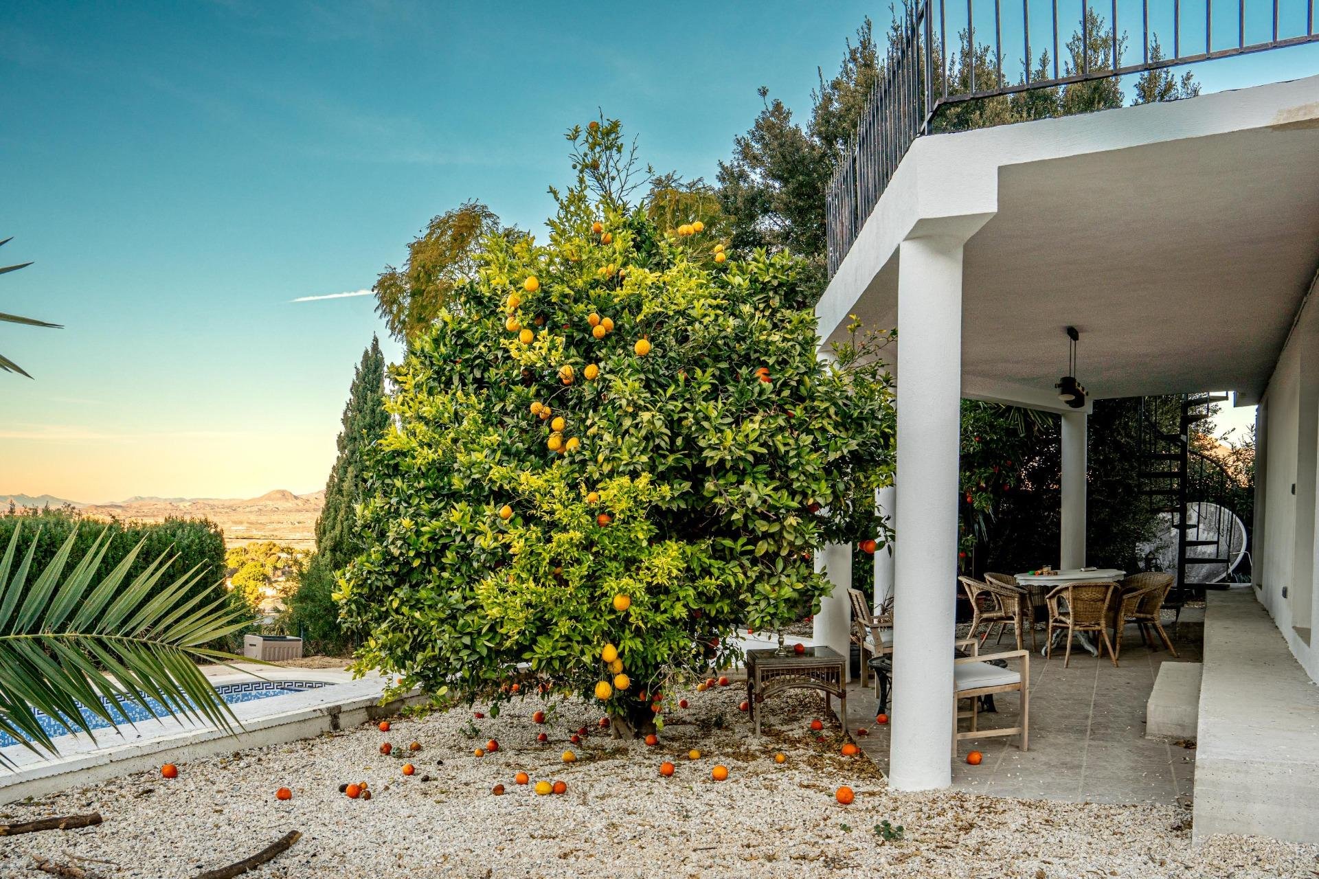 Villa à Busot, Alicante, Espagne 5 chambres, 158 m2 No. 91628