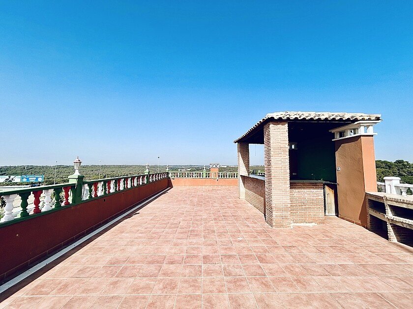 Liikekiinteistö Orihuela, Alicante, Espanja 242 m2 No. 111285