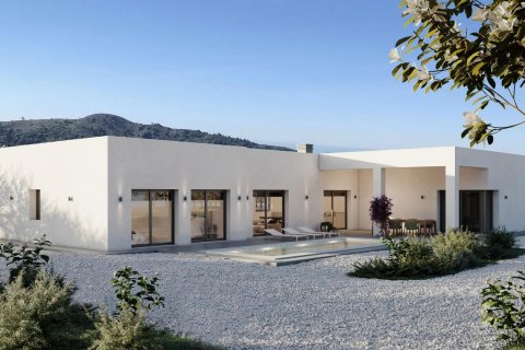 Villa in Pinoso, Alicante, Spanien 3 Schlafzimmer, 199 m2 Nr. 111304