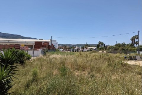 Tontti Denia, Alicante, Espanja No. 84306