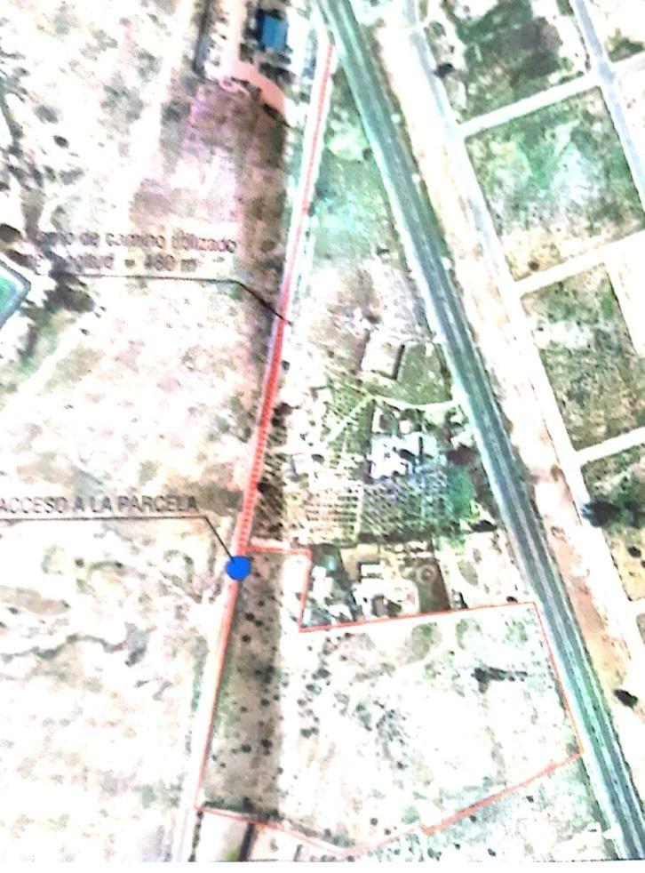 Land in Rojales, Alicante, Spanien Nr. 113137
