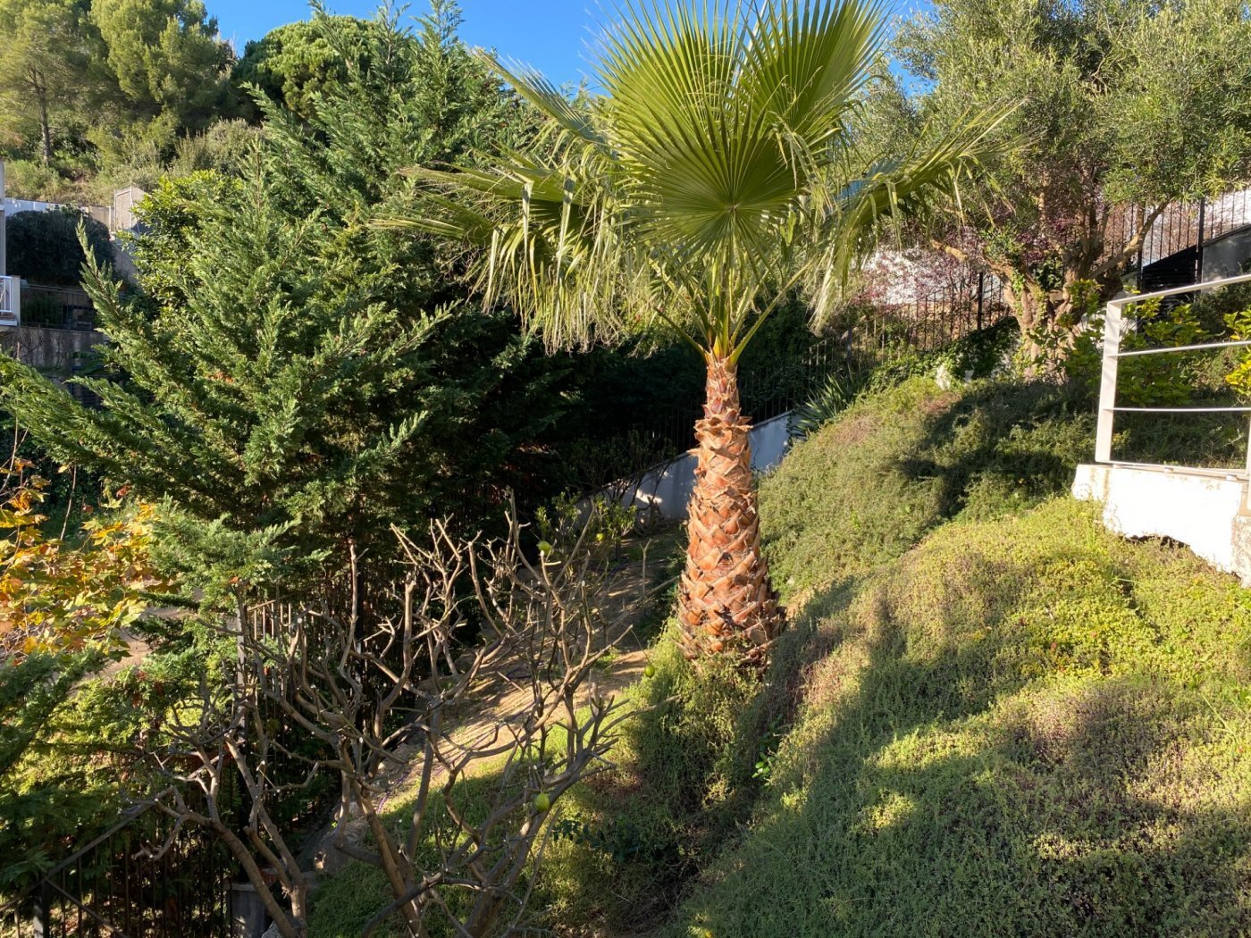 Dom w Lloret de Mar, Girona, Hiszpania 4 sypialnie, 281 mkw. nr 22926