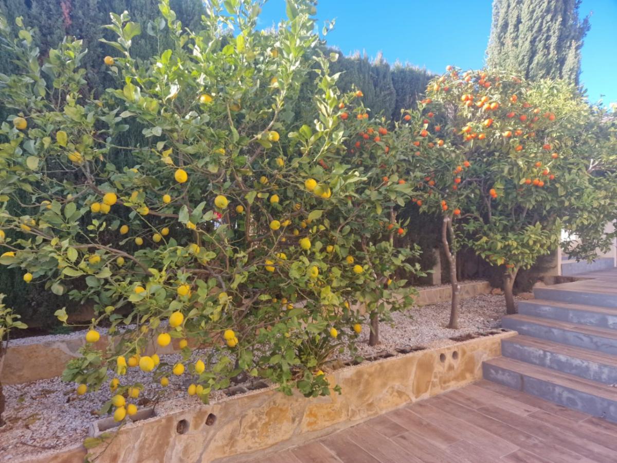 Huvila Cumbre Del Sol, Alicante, Espanja 3 makuuhuonetta, 300 m2 No. 113086