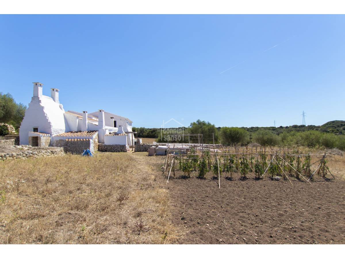 House in Ferreries, Menorca, Spain 8 bedrooms, 811 sq.m. No. 102371