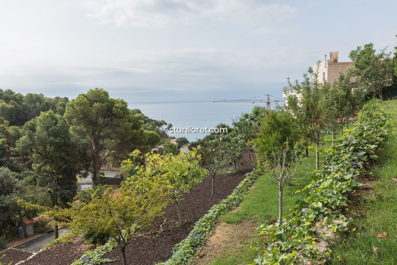 Villa i Tossa de Mar, Girona, Spanien 6 sovrum, 449 kvm. Nr. 104031