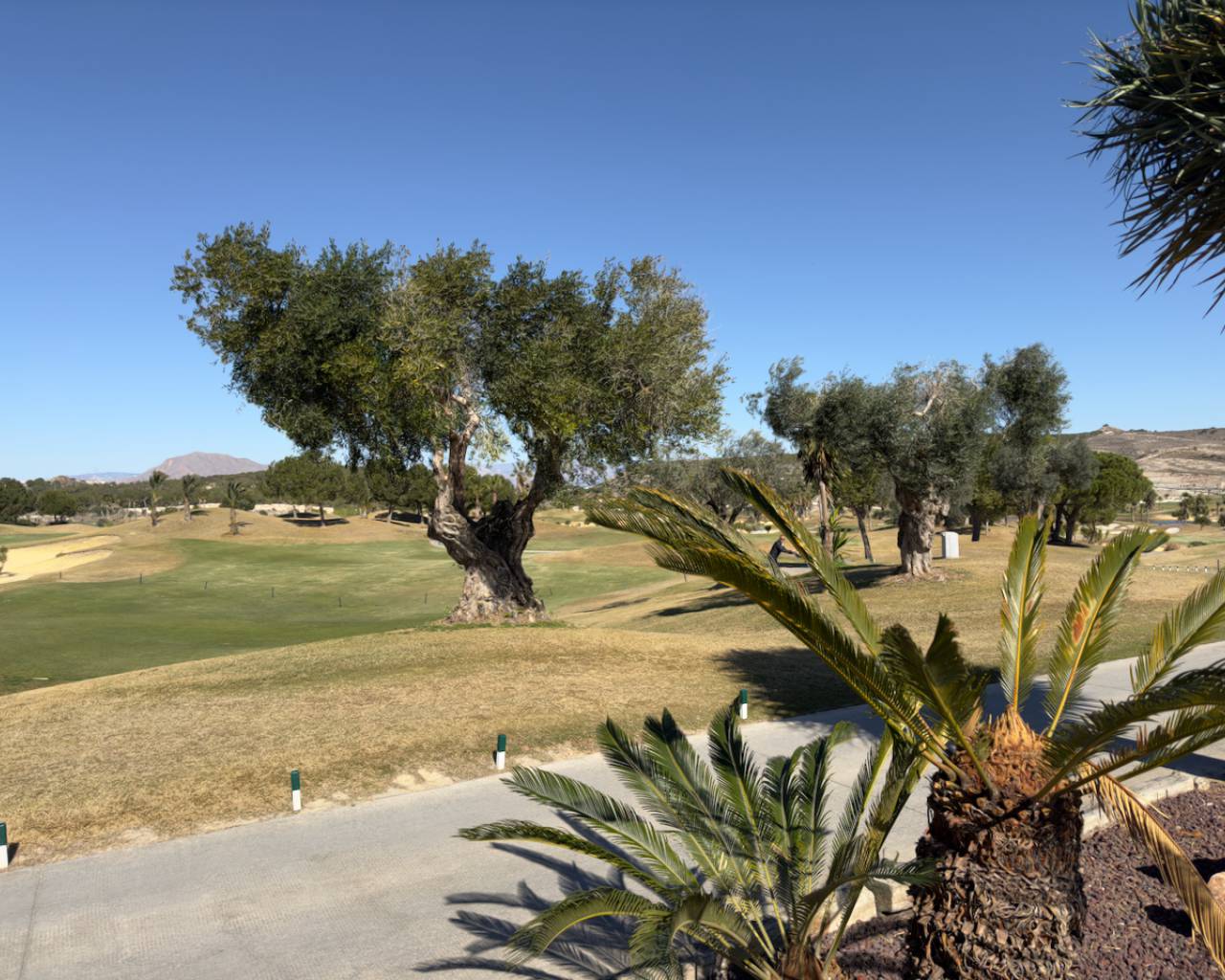 Villa in Los Montesinos, Alicante, Spain 3 bedrooms, 164 sq.m. No. 94060