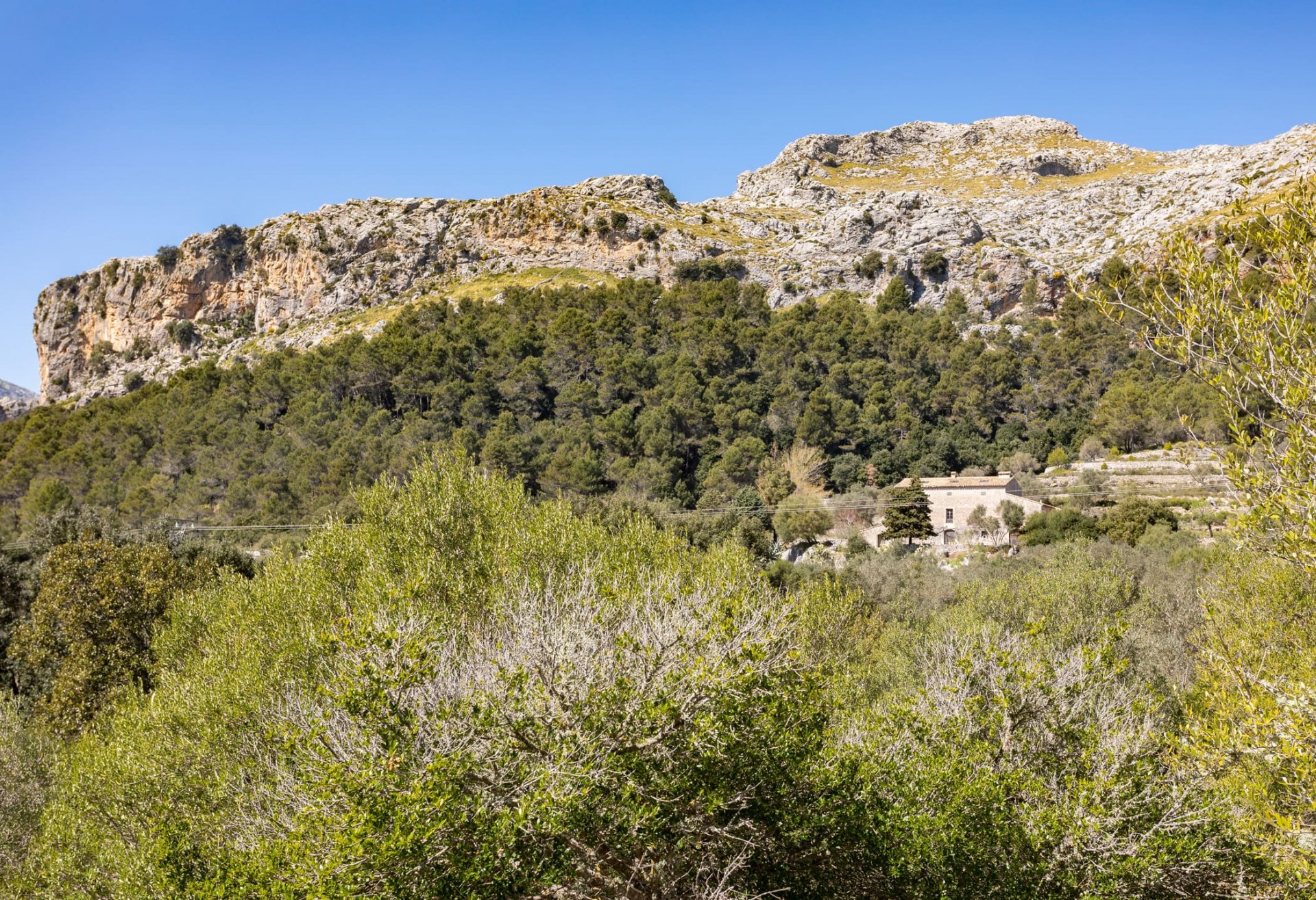Финка в Эскорка, Майорка, Испания 8 спален, 736м2 №102049