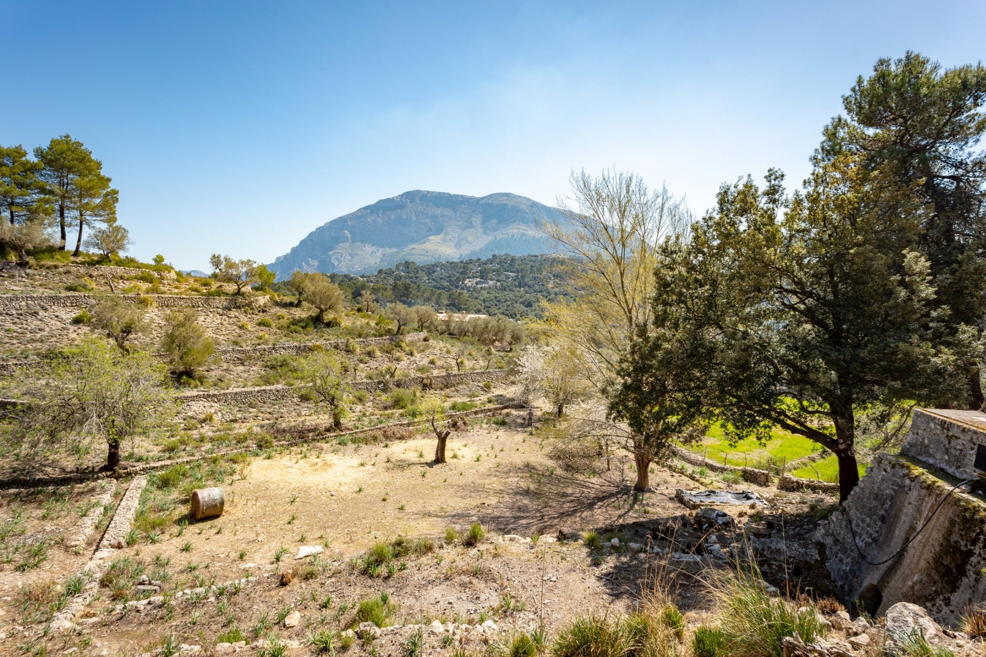 Финка в Эскорка, Майорка, Испания 8 спален, 736м2 №102049