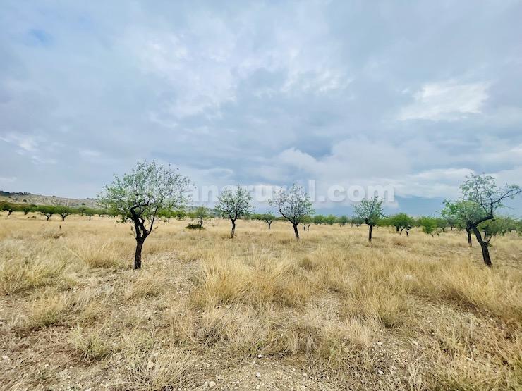Dom w Lucar, Almeria, Hiszpania 4 sypialnie, 358 mkw. nr 96687