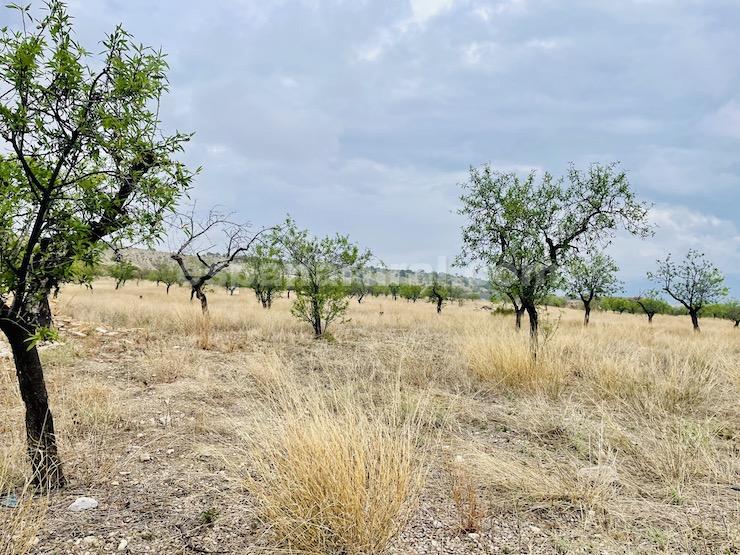 Dom w Lucar, Almeria, Hiszpania 4 sypialnie, 358 mkw. nr 96687