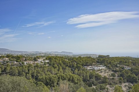 Land in Benissa, Alicante, Spanien Nr. 87421