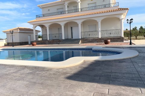 Villa in Pinoso, Alicante, Spain 4 bedrooms, 10000 sq.m. No. 87423