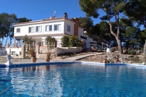 Dom w Los Balcones, Alicante, Hiszpania 8 sypialni, 480 mkw. nr 117367