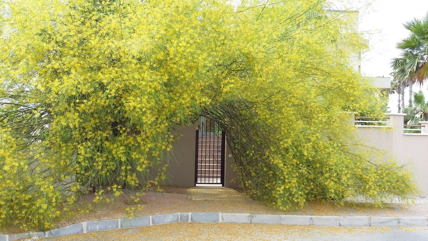Villa à Ciudad Quesada, Alicante, Espagne 4 chambres, 400 m2 No. 113884