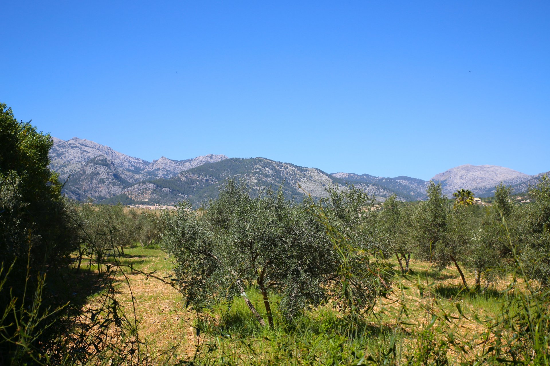 Finca en Selva, Mallorca, España 2 dormitorios, 150 m2 No. 111752