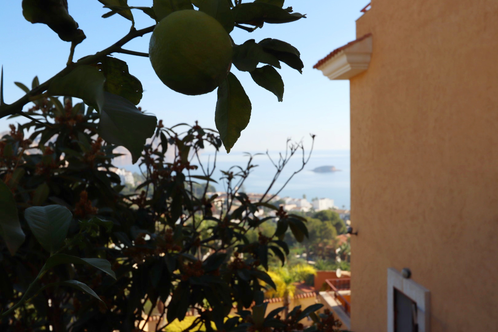 Villa à Altea, Alicante, Espagne 5 chambres, 630 m2 No. 115356