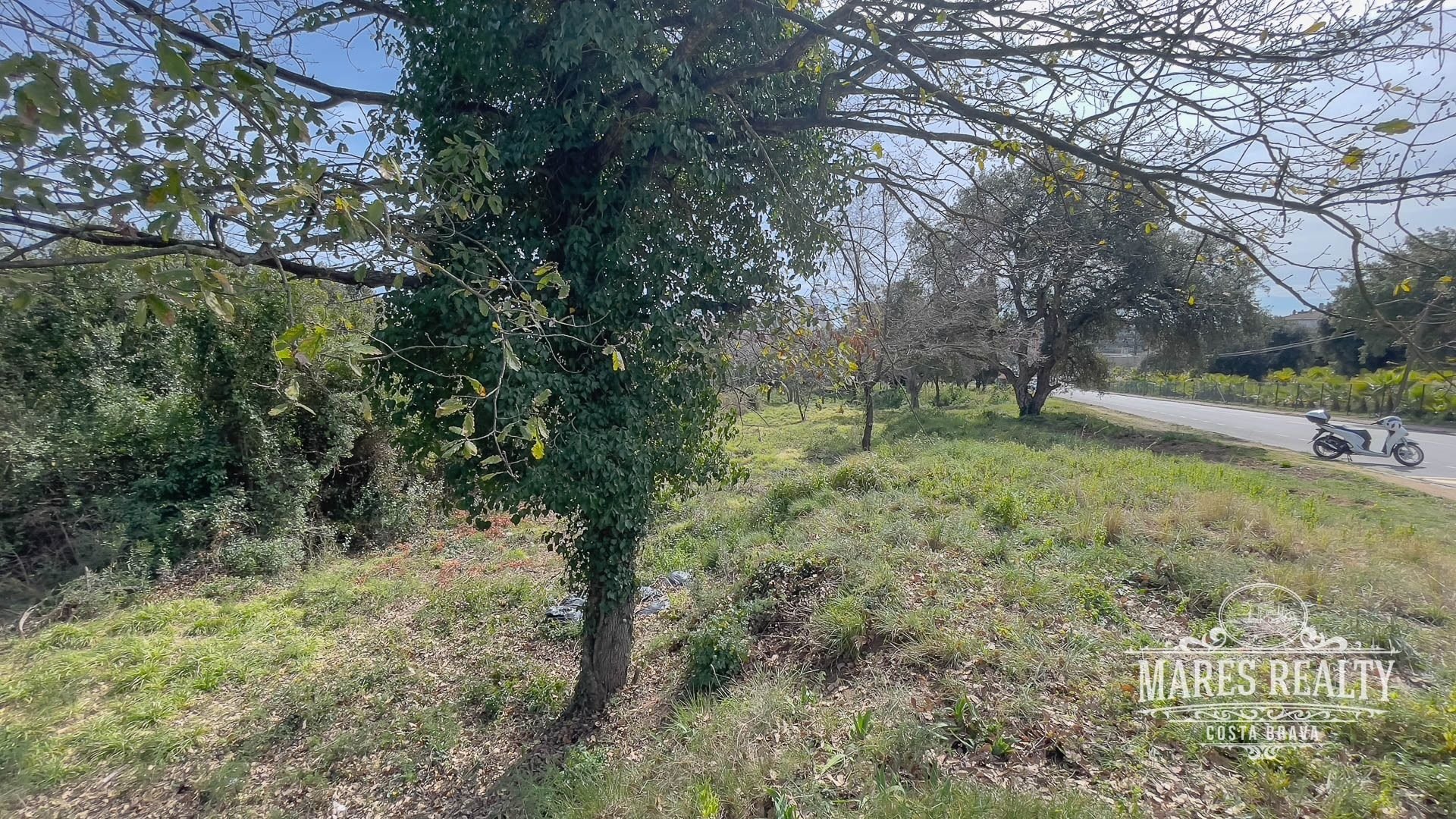 Land plot à Lloret de Mar, Girona, Espagne 1551 m2 No. 94163