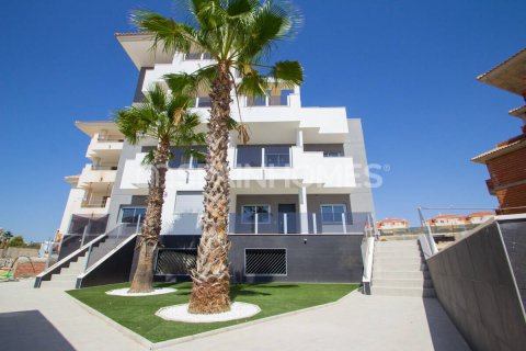 Ático en Orihuela, Alicante, España 2 dormitorios, 65 m2 No. 104338