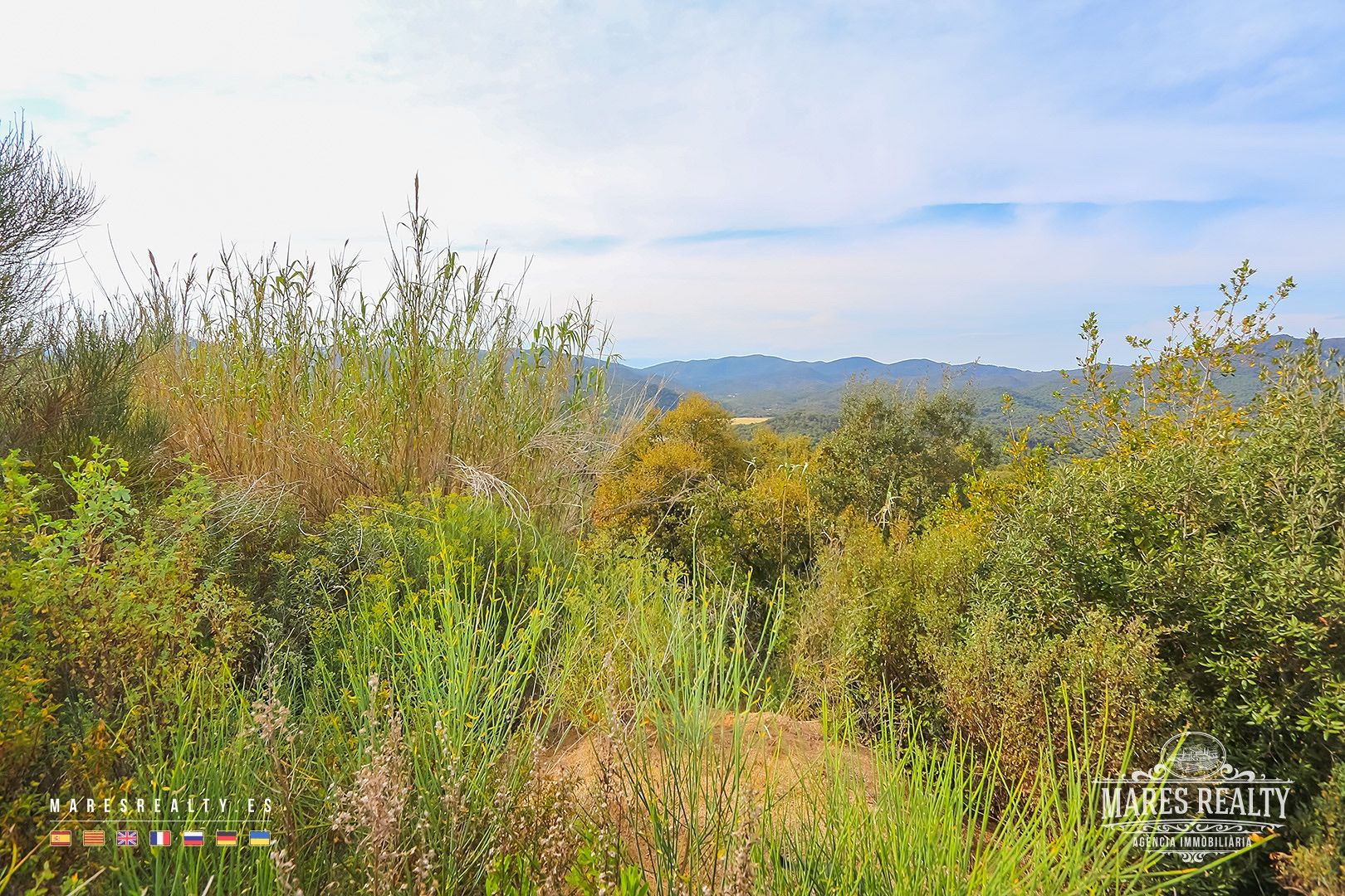 Zemes gabals Tossa de Mar, Girona, Spānijā 17000 m2 Nr. 91099