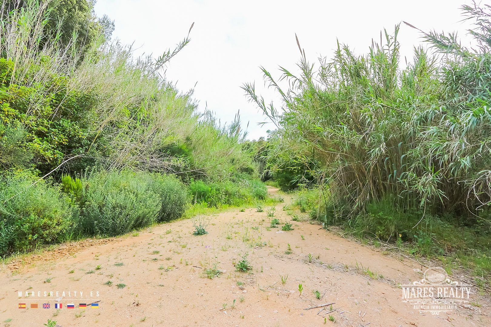 Zemes gabals Tossa de Mar, Girona, Spānijā 17000 m2 Nr. 91099
