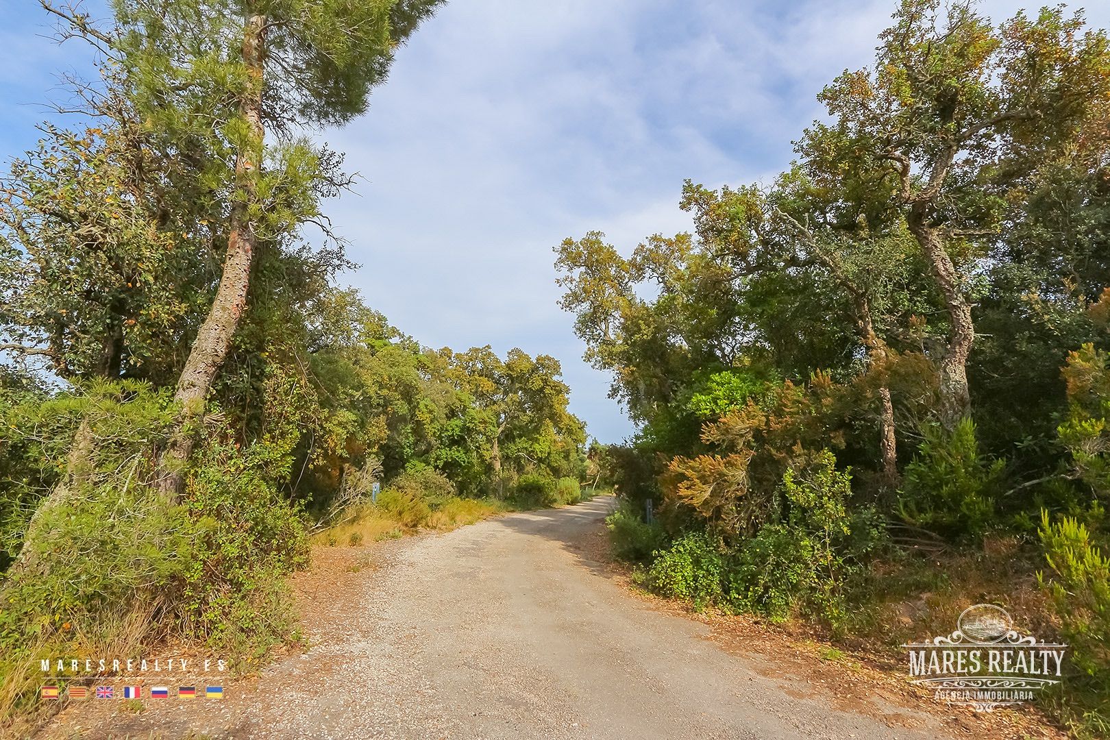 Zemes gabals Tossa de Mar, Girona, Spānijā 17000 m2 Nr. 91099