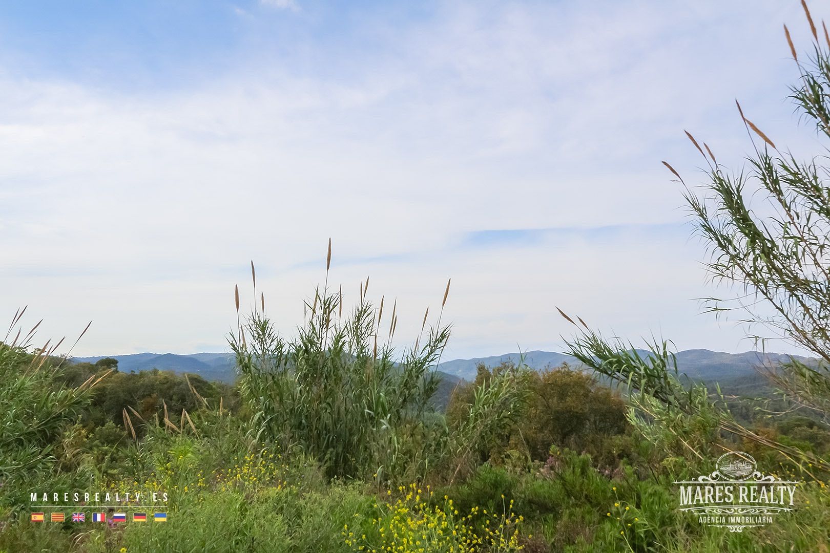 Zemes gabals Tossa de Mar, Girona, Spānijā 17000 m2 Nr. 91099