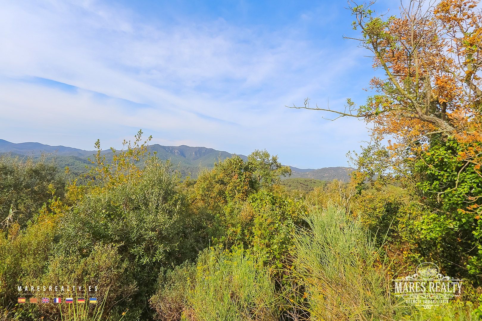 Zemes gabals Tossa de Mar, Girona, Spānijā 17000 m2 Nr. 91099