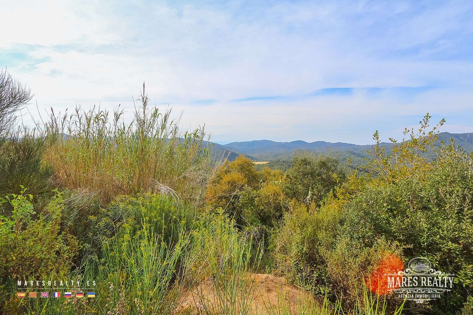 Zemes gabals Tossa de Mar, Girona, Spānijā 17000 m2 Nr. 91099
