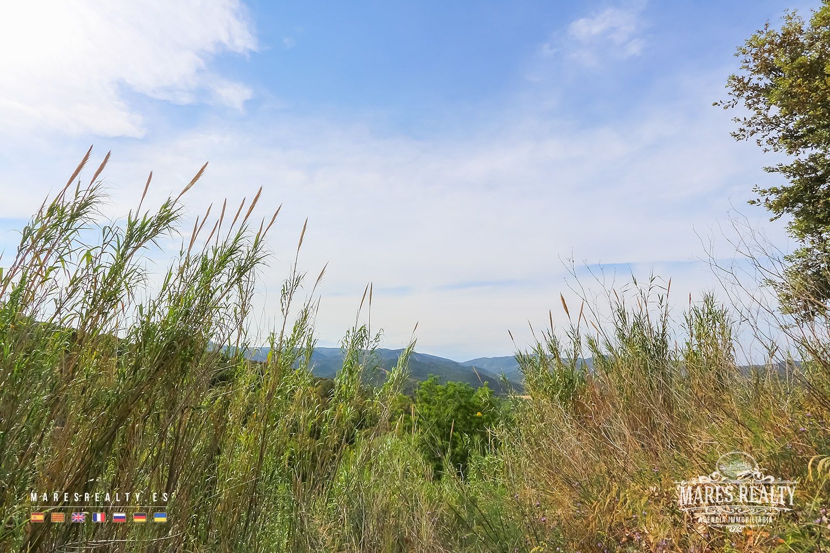 Zemes gabals Tossa de Mar, Girona, Spānijā 17000 m2 Nr. 91099