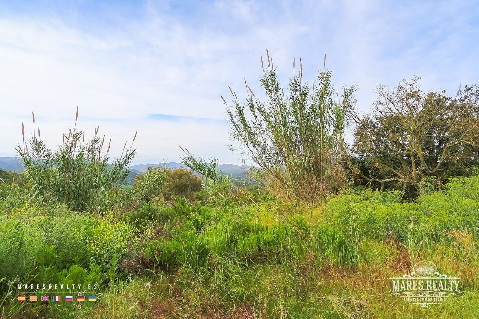 Zemes gabals Tossa de Mar, Girona, Spānijā 17000 m2 Nr. 91099