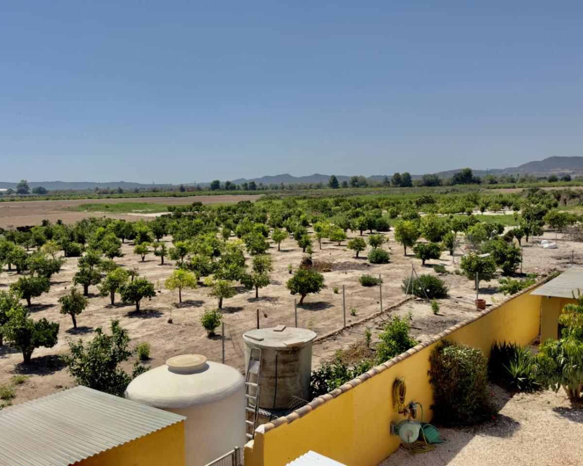 Finca a Orihuela, Alicante, Spagna 3 camere da letto, 138 mq. N° 102467